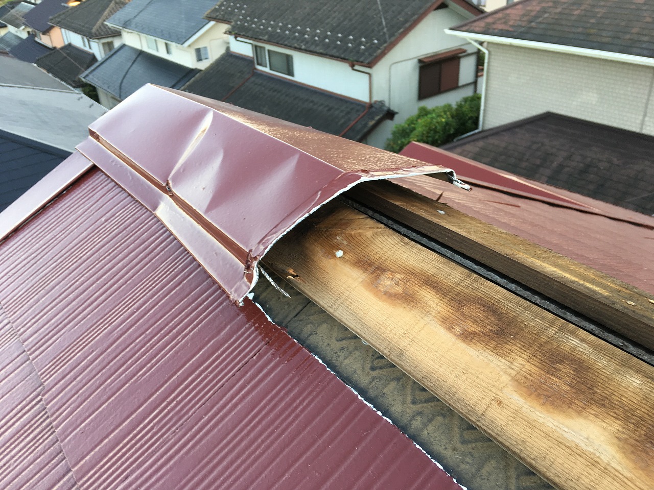 台風被害，屋根修理，千葉県 (1)